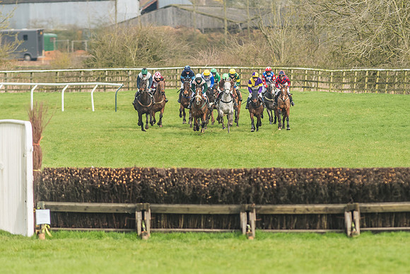 Race 2 - Mares and Fillies Maiden-15