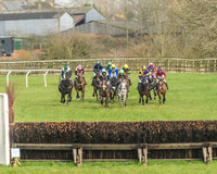 Race 2 - Mares and Fillies Maiden-16