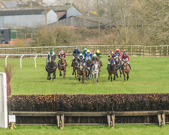 Race 2 - Mares and Fillies Maiden-16