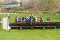 Race 2 - Mares and Fillies Maiden-17