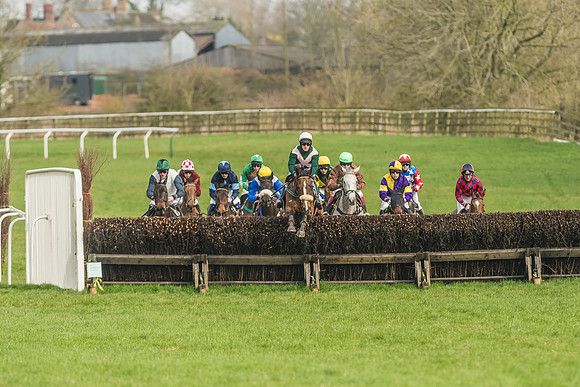 Race 2 - Mares and Fillies Maiden-17