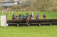 Race 2 - Mares and Fillies Maiden-18