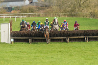 Race 2 - Mares and Fillies Maiden-19