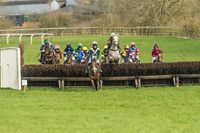 Race 2 - Mares and Fillies Maiden-20
