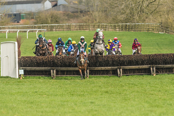 Race 2 - Mares and Fillies Maiden-20