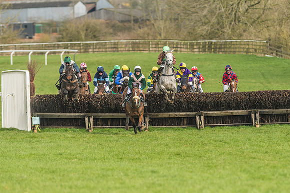 Race 2 - Mares and Fillies Maiden-21