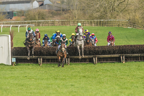 Race 2 - Mares and Fillies Maiden-22