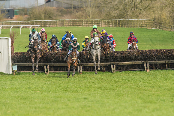 Race 2 - Mares and Fillies Maiden-23