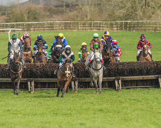 Race 2 - Mares and Fillies Maiden-24