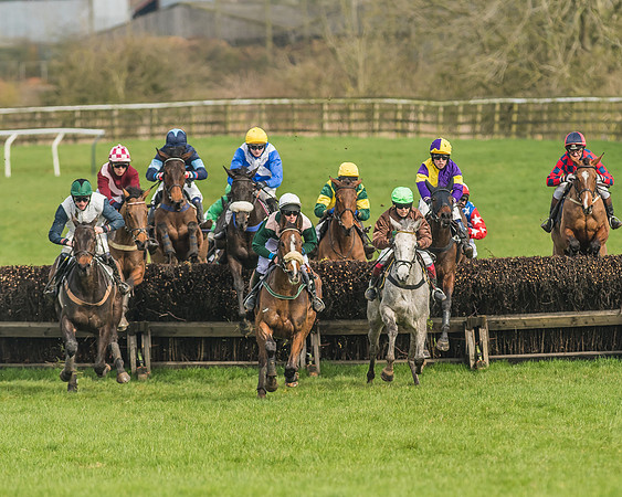 Race 2 - Mares and Fillies Maiden-26