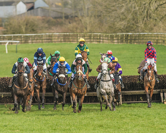 Race 2 - Mares and Fillies Maiden-27