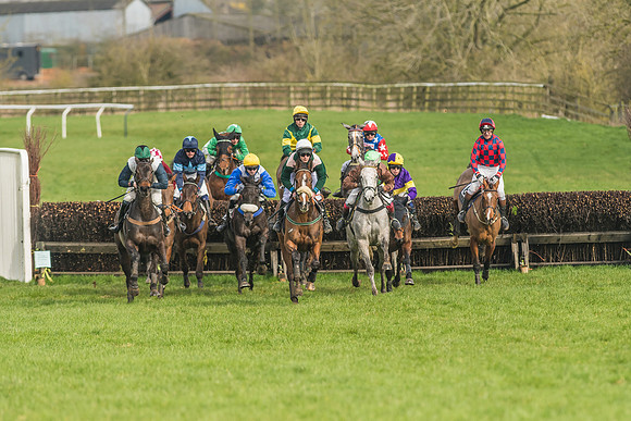 Race 2 - Mares and Fillies Maiden-28
