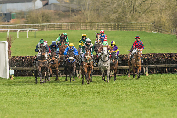 Race 2 - Mares and Fillies Maiden-29