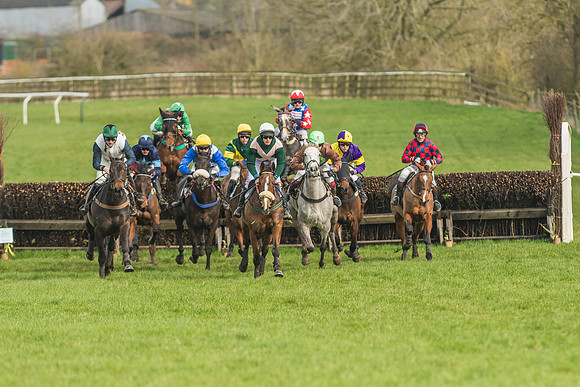 Race 2 - Mares and Fillies Maiden-30