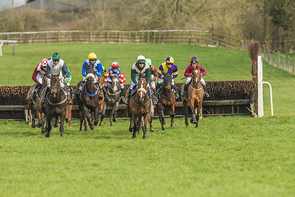 Race 2 - Mares and Fillies Maiden-31