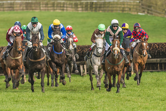 Race 2 - Mares and Fillies Maiden-33
