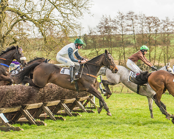 Race 2 - Mares and Fillies Maiden-38