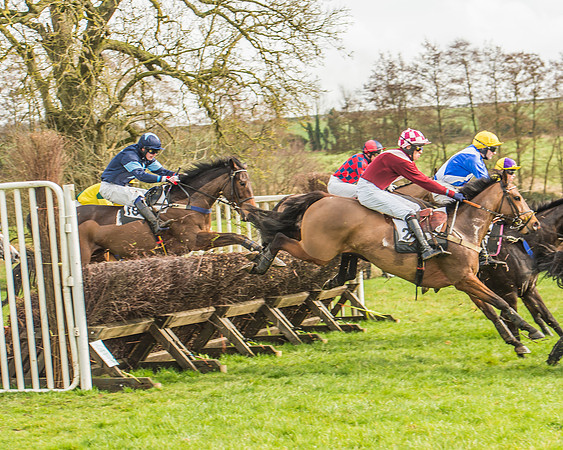 Race 2 - Mares and Fillies Maiden-39