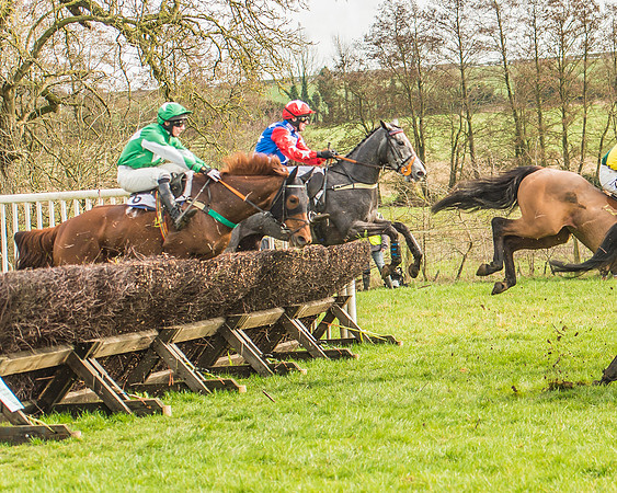 Race 2 - Mares and Fillies Maiden-40