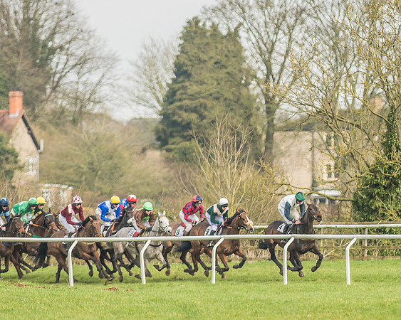 Race 2 - Mares and Fillies Maiden-41