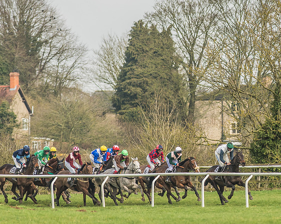 Race 2 - Mares and Fillies Maiden-42