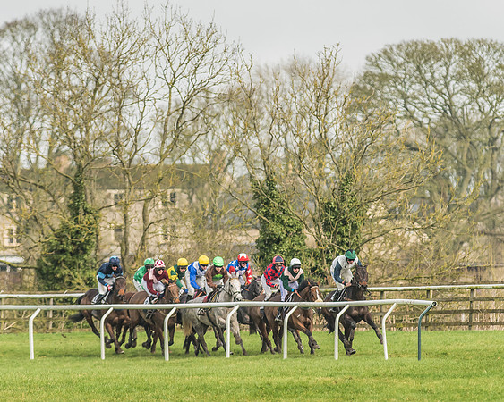 Race 2 - Mares and Fillies Maiden-43