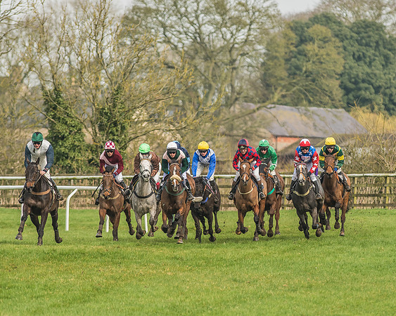 Race 2 - Mares and Fillies Maiden-44