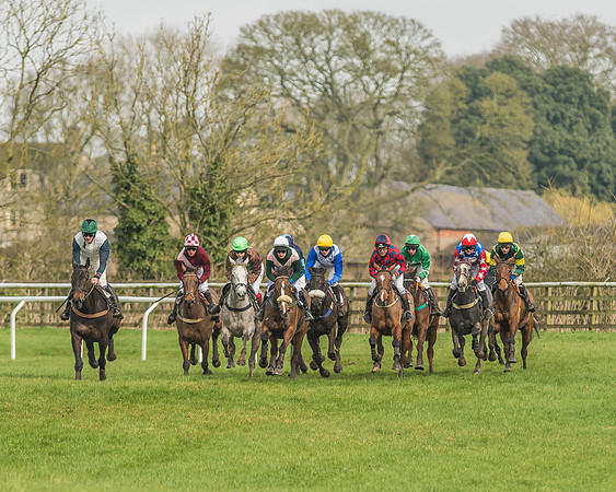 Race 2 - Mares and Fillies Maiden-45