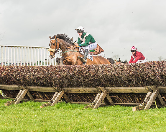 Race 2 - Mares and Fillies Maiden-49