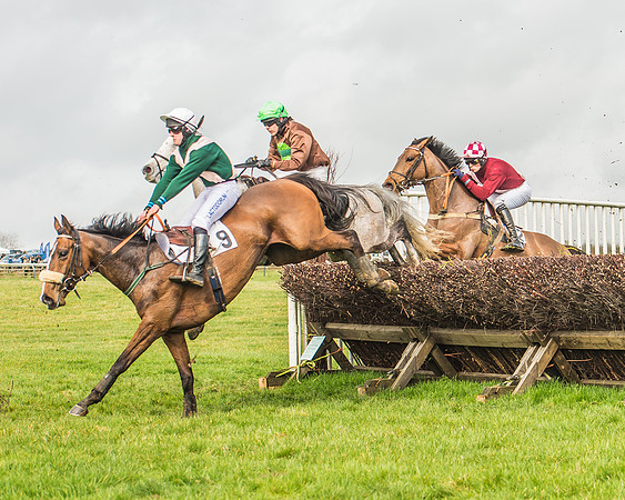 Race 2 - Mares and Fillies Maiden-53
