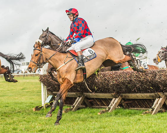 Race 2 - Mares and Fillies Maiden-56
