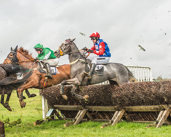 Race 2 - Mares and Fillies Maiden-58