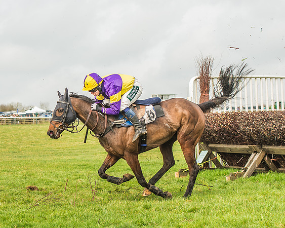 Race 2 - Mares and Fillies Maiden-65