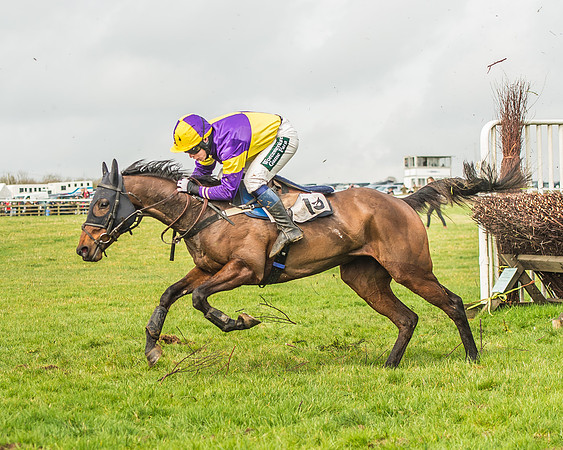 Race 2 - Mares and Fillies Maiden-66