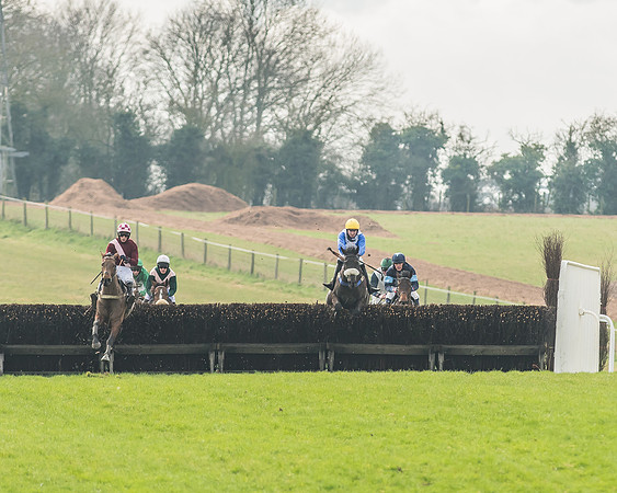Race 2 - Mares and Fillies Maiden-68