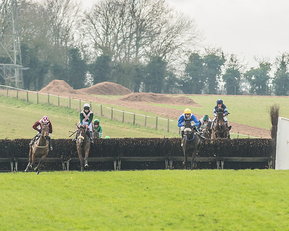 Race 2 - Mares and Fillies Maiden-70
