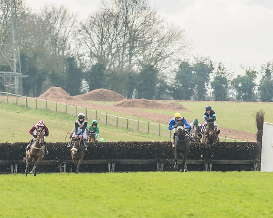 Race 2 - Mares and Fillies Maiden-71