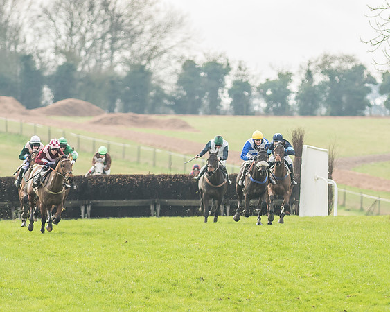 Race 2 - Mares and Fillies Maiden-72