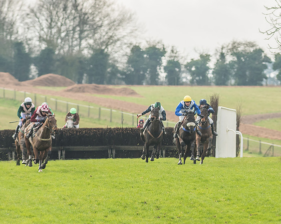 Race 2 - Mares and Fillies Maiden-73