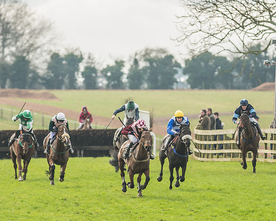 Race 2 - Mares and Fillies Maiden-74