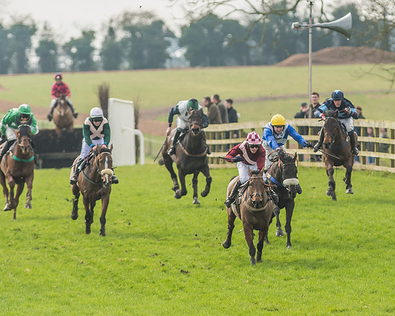 Race 2 - Mares and Fillies Maiden-76