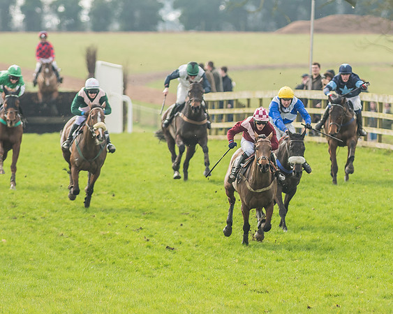 Race 2 - Mares and Fillies Maiden-77
