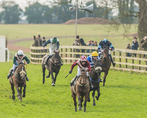 Race 2 - Mares and Fillies Maiden-79