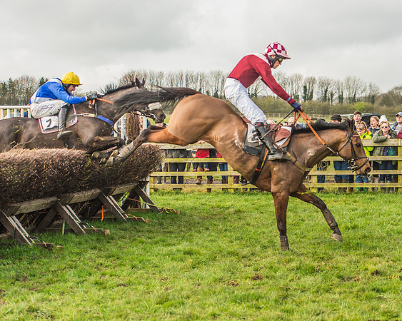 Race 2 - Mares and Fillies Maiden-83