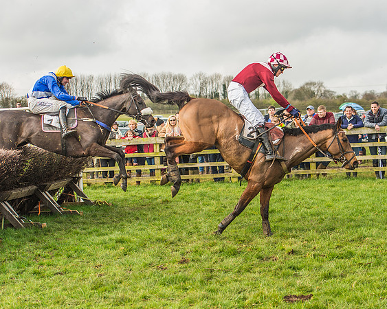 Race 2 - Mares and Fillies Maiden-84