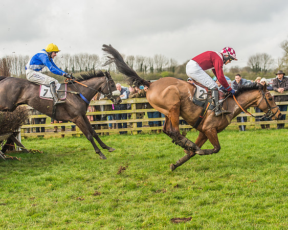 Race 2 - Mares and Fillies Maiden-85