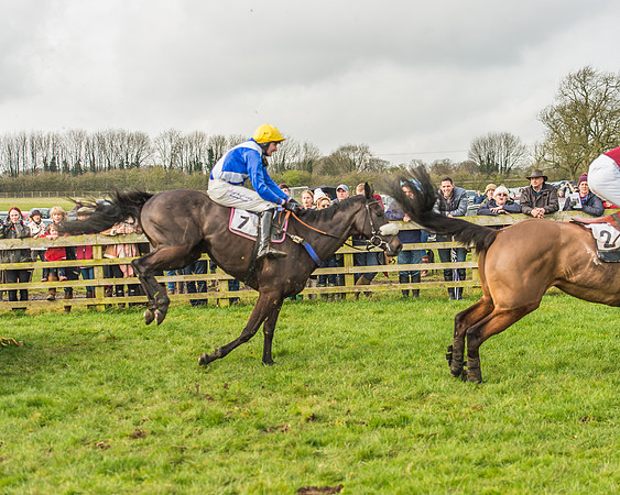 Race 2 - Mares and Fillies Maiden-86