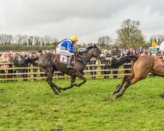 Race 2 - Mares and Fillies Maiden-87