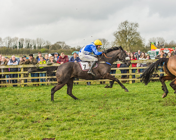 Race 2 - Mares and Fillies Maiden-88