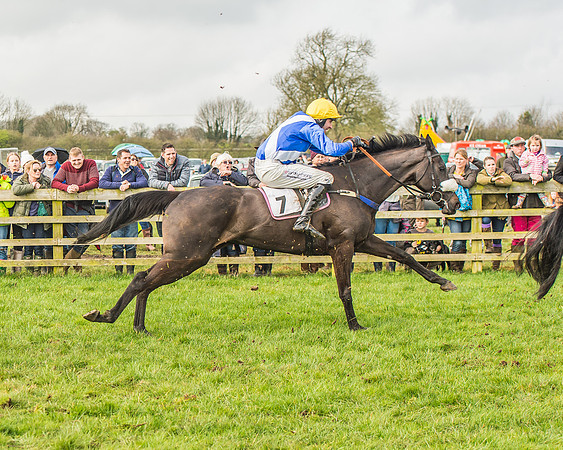 Race 2 - Mares and Fillies Maiden-89